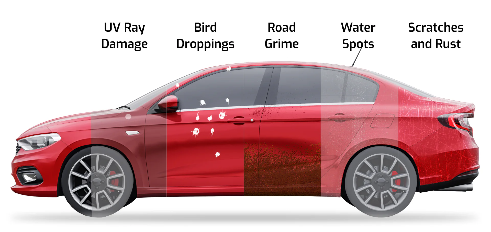 Premium car detailing